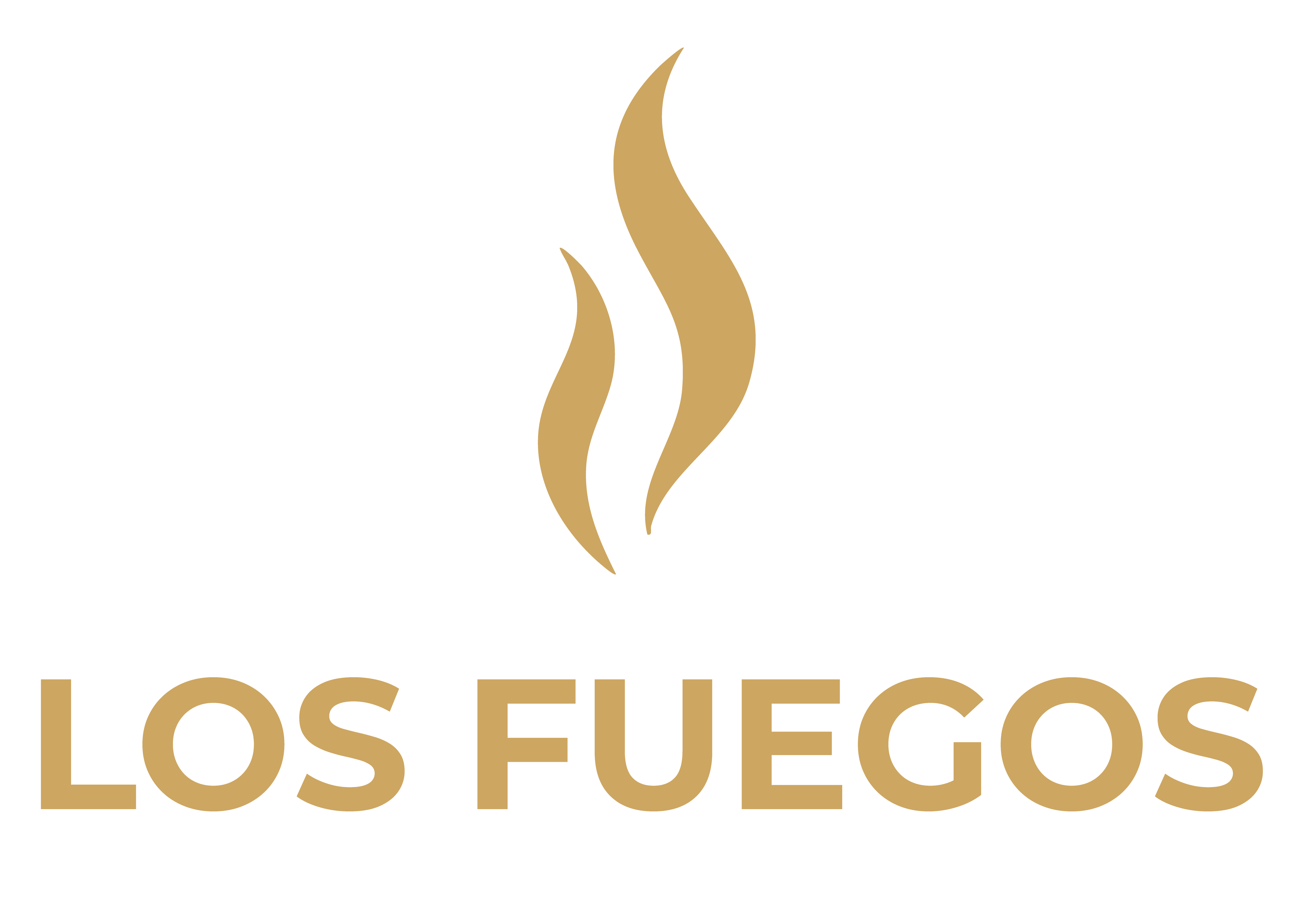 Los fuegos de Ailin-Co